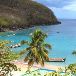 sortie bateau tortues