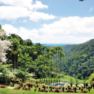 jardin de balata