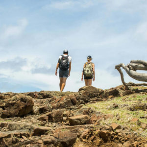 randonnée savane des pétrifications