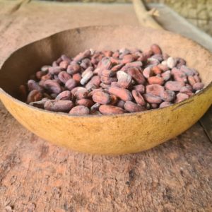 atelier cacao