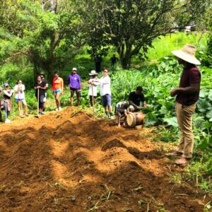 cuisine et bèlè