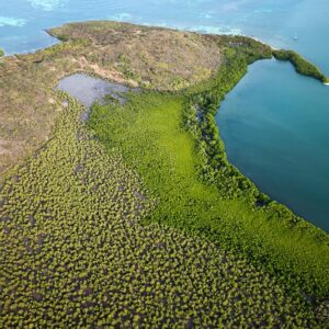 Excursion Journée Complète : Mangrove & Anses du Sud